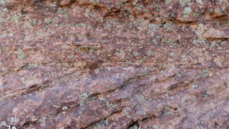 Close-up of pinkish-colored, lichen-mottled stone with an uneven texture.
